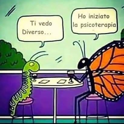 bruco farfalla